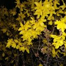 소유산 - 강화군 남문안길 31 | 소유산