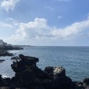 탐모라농수산 | [부모님과 제주🌴여행] _ DAY3(중문 발편한세상/동문시장/용두암)