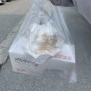 미송다방