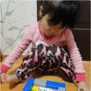 청개구리PC 이미지