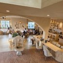 (주)데이뷰네트웍스 | 수원 벚꽃 카페 핫플 도너스데이 본점｜황구지천 실시간 개화 상황