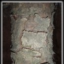 다덕파크 이미지