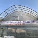 명원농장 | [아프리카식물-개화화훼단지의 숨은보석 명원다육 희귀식물의 천국]