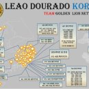 라이온 체육관 이미지