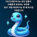 왜그래 꿈인지 생신지 아리 아리 말몾합니다 사랑하나 배우고 가요 용서 타이틀곡 주인공 주제곡 가수 나미애님 팬님들 이미지