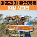 섬 - 대지의 노래 | 여행 - 나이바샤 호수 보트 사파리, 크레센트섬 워킹 사파리 아웃 오브 아프리카 촬영지 케냐 여행