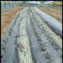 해바라기 어린이집 이미지