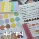 부산 퍼스널컬러 리다르뷰티(여쿨에서 봄라이트로..)