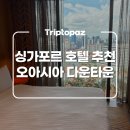 다운타운빌딩 | 싱가포르 숙소 추천, 오아시아 호텔 다운타운 2박 찐 후기!