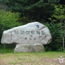 낭천산림욕장 Daum카페