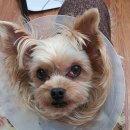 송부자한의원 이미지