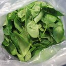 태수농장2 이미지