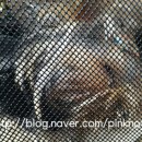 안 수의과병원 이미지