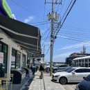 아이랑 강아지랑, 경북 포항 1박 2일 여행 코스 추천 (삼척 꽈배기, 밀면 맛집, 호미곶, 죽도시장) 1일차