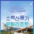 영주시 풍기온천