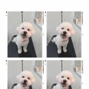 봉봉미용실 티스토리