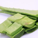 글로리의원 이미지