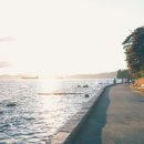 참재활의학과의원 이미지