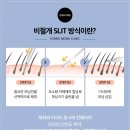 연세모나의원 이미지