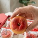 안동사과빵 | 안동 사과빵 특산품 추천 내돈내산 사과맛 후기
