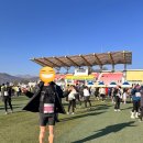 GR(성주군)-[참별로]-상-20 | [성주참외마라톤] 3월 마라톤/대구마라톤 LSD 30km 훈련/업힐 맛집 성주마라톤 런트립 후기