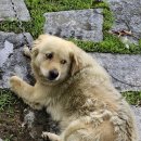 바람모퉁이어린이공원 이미지