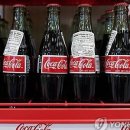 코카콜라_서 이미지
