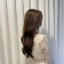 더 크라운 헤어 이미지