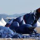 한국공항공사 무안공항 로컬라이저 자료 제출 거부