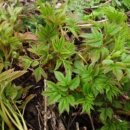 소백산식당 이미지