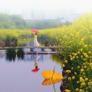 봄의 harmony ❤️ 이미지