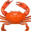 바다슈퍼 이미지