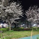 삼향천4 이미지