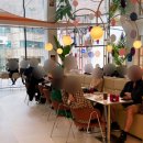 코코애견클럽 이미지