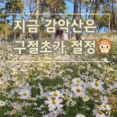 거창-거창-10 | 거창 감악산 아스타국화축제 10월10일 솔직후기. 구절초가 더 예쁜 별바람언덕