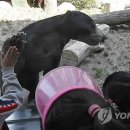 꼬마곰놀이터 이미지