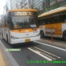 뉴대호운수 이미지