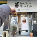 보면서 쉽게 배우는 선물포장 | [부산 남포동] 쏘슬로우 플랜트랩, 커플데이트 힐링 치트키! 테라리움 원데이 클래스