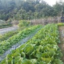 고충해결행정사사무소 이미지