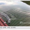 송전지 송도집(송전낚시터) 조황 10월 11일...(T) 이미지