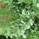 거창홍어성초영농조합법인 이미지