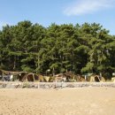 깜상네 | 8th Camping [거제 칠천도 옆개해수욕장]
