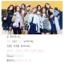 매탄3동 1181-6~매탄3동 1174-6 | 화영운수/진양교통 (경기) 전체 차량현황 [2025.4.28 기준]