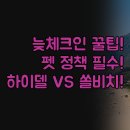 아레스모텔 | 체크인 시간 반려동물 정책 비교 분석 | 하이델베르크 아레스 쏠비치 | 늦은 도착 힐링 숙소별 완벽 정리