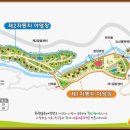 숲 나들이 야영장 이미지
