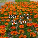 서울숲11 | 2025 서울숲 튤립축제 실시간 후기 가는법 디타워 주차정보