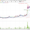 (주)노랑풍선시티버스 이미지