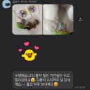 11월 일상 모음