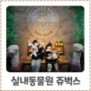 서창남순환로216번길1R | 서울경기 실내데이트 장소 추천 서창동 쥬벅스 실내동물원 후기