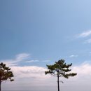 동해대로1 이미지